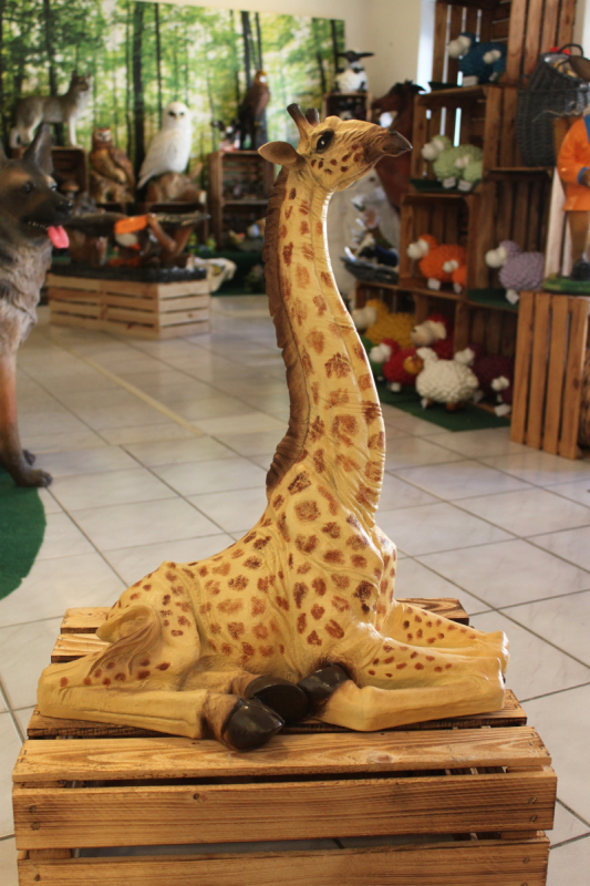 Giraffe, liegend